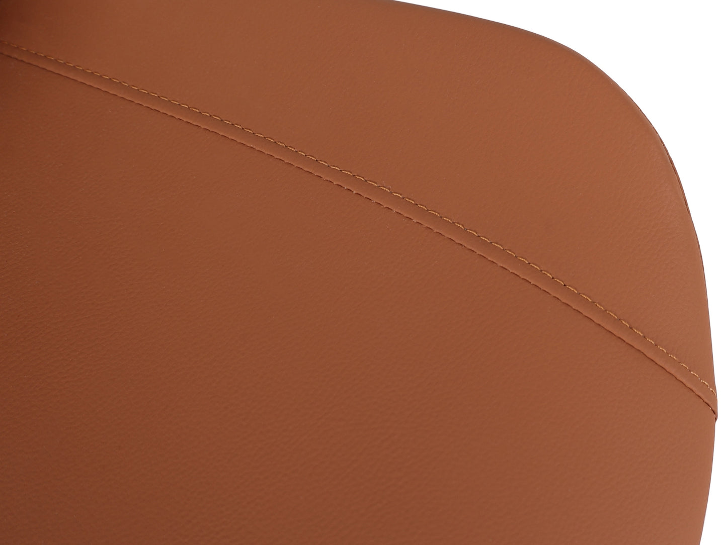 CAMELIA | CAMEL